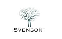 Svensoni Paraplanning Ltd image 1